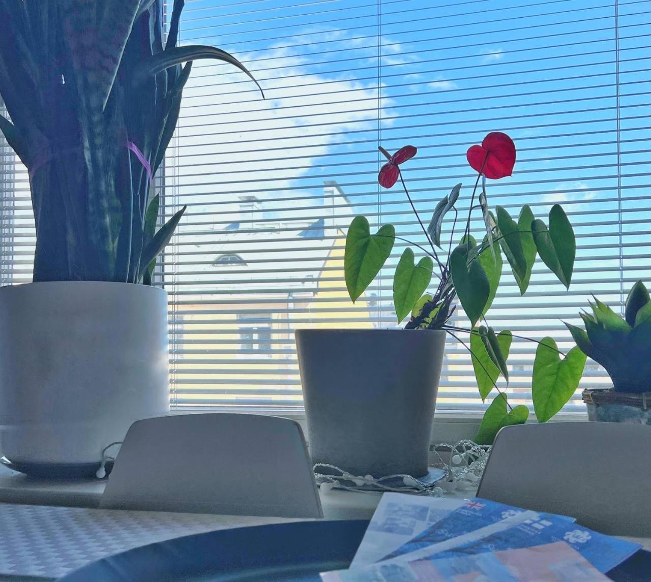 Scandinavian Desing Home 37 City Center In Kamppi ヘルシンキ エクステリア 写真